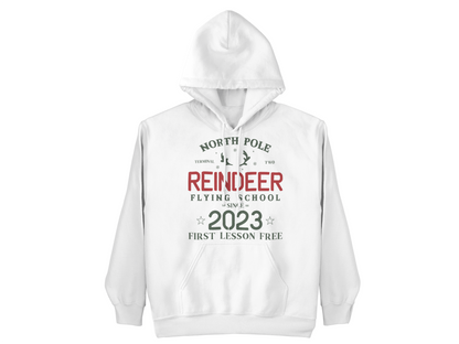 Reindeer Flying School christmas hoodie