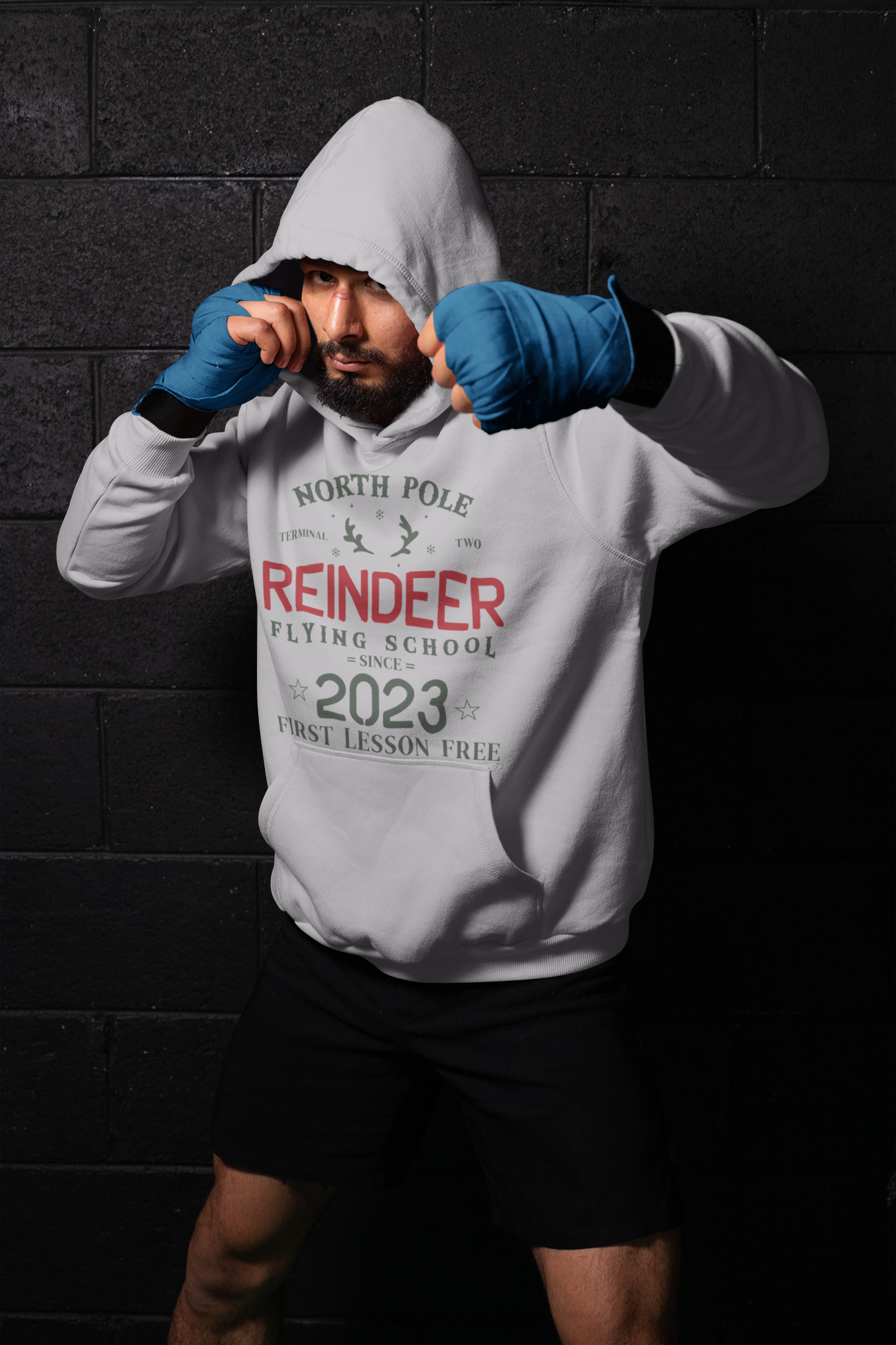 Reindeer Flying School christmas hoodie