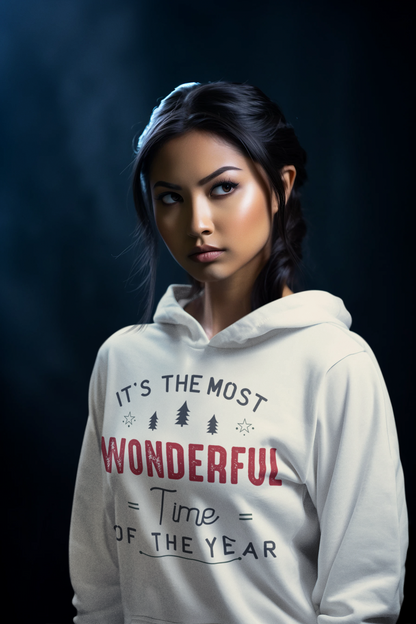 It's the most Wonderful Time Christmas Hoodie