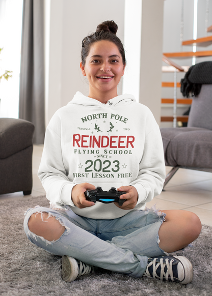 Reindeer Flying School christmas hoodie